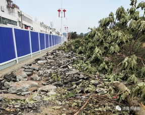 滸灣“一水兩岸”景觀工程正式啟動勘察，打造濱水生態新地標