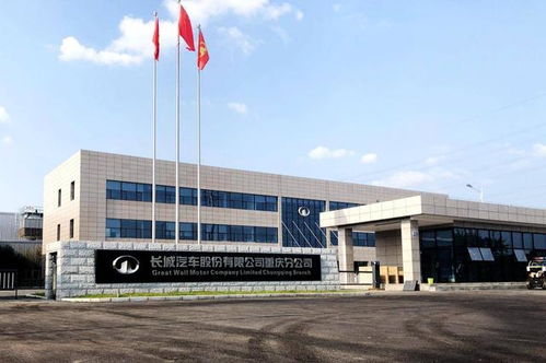 皮卡進城 下一個十年的城市解藥？重慶解禁的市場啟示錄